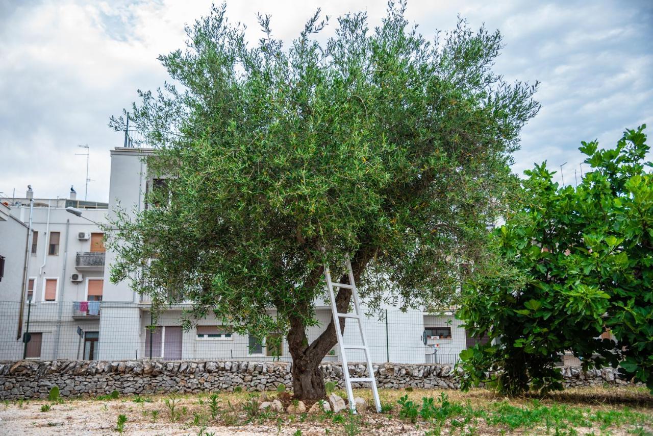 Апартаменты Trulli Dimora Palmisano Локоротондо Экстерьер фото